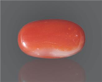 Natural Red Coral (J)  9.46 RTS - 65002